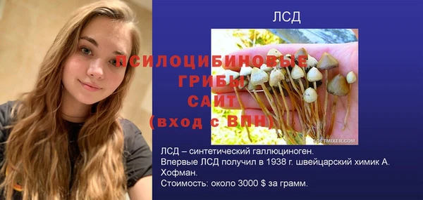 стафф Тында